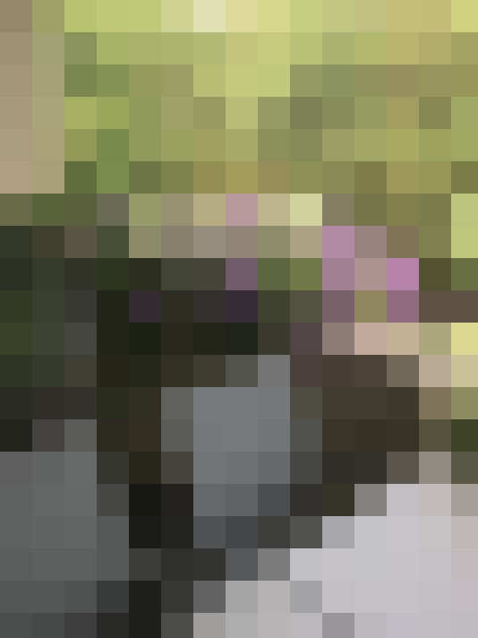 Image 17