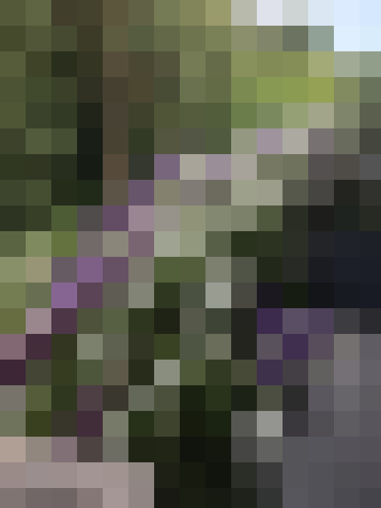 Image 16
