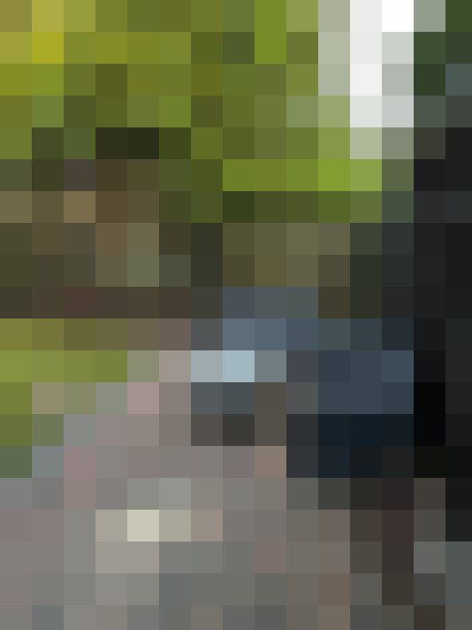 Image 17
