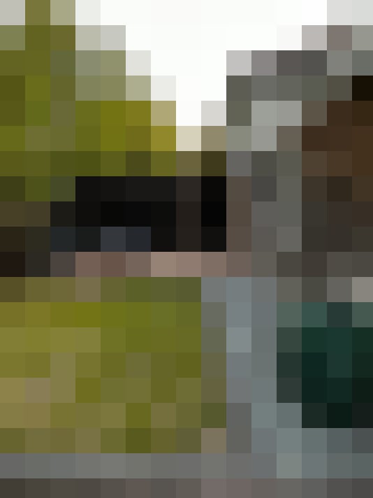 Image 14