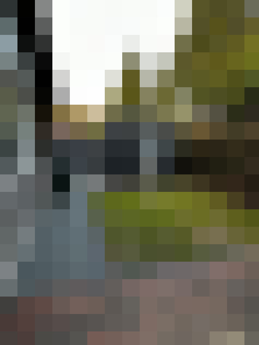 Image 16