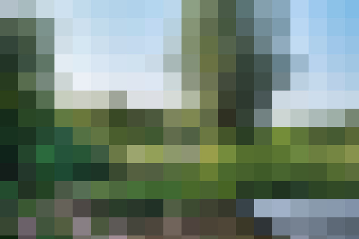 Image 39