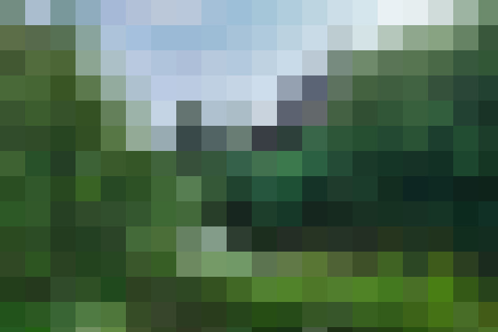 Image 41