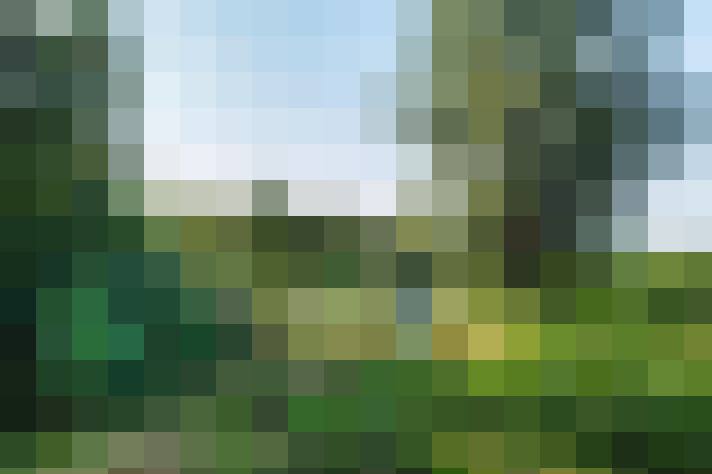 Image 40