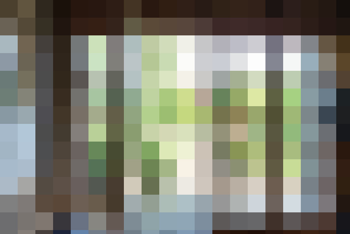 Image 30