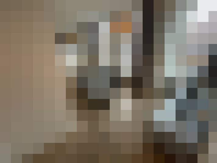 / #16