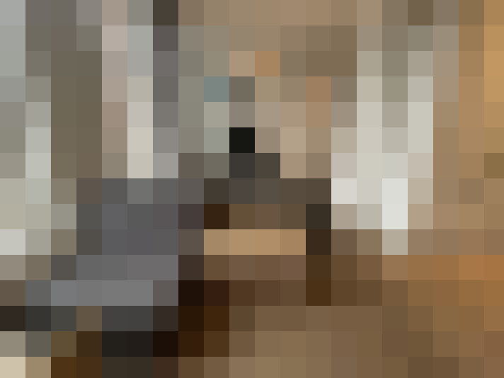  / #14