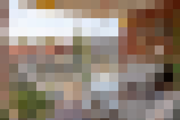 Image 15