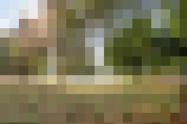 Image 20