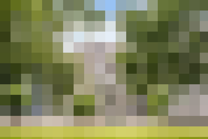 Image 20