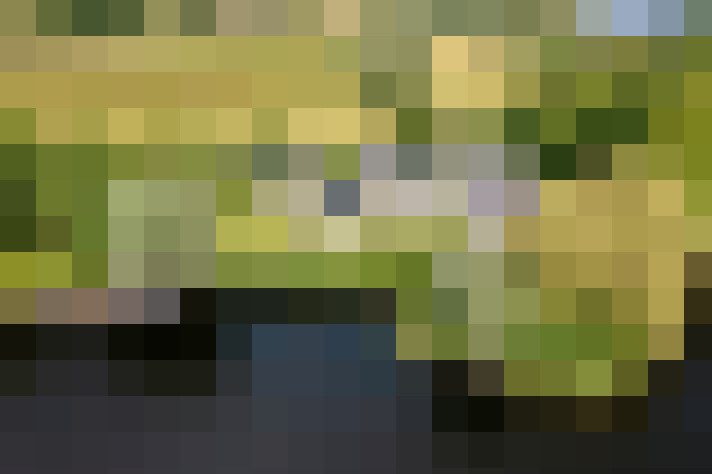 Image 49