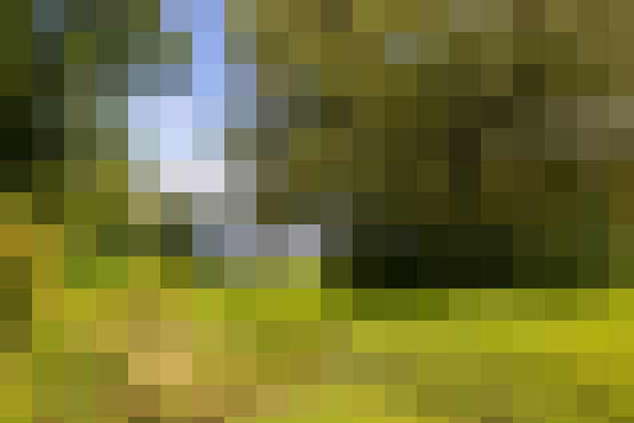Image 38