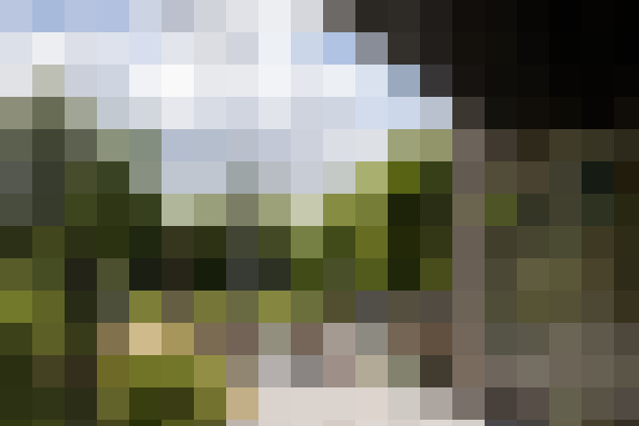 Image 40