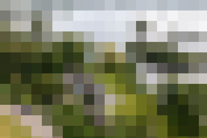 Image 50