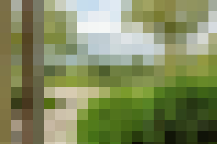 Image 40