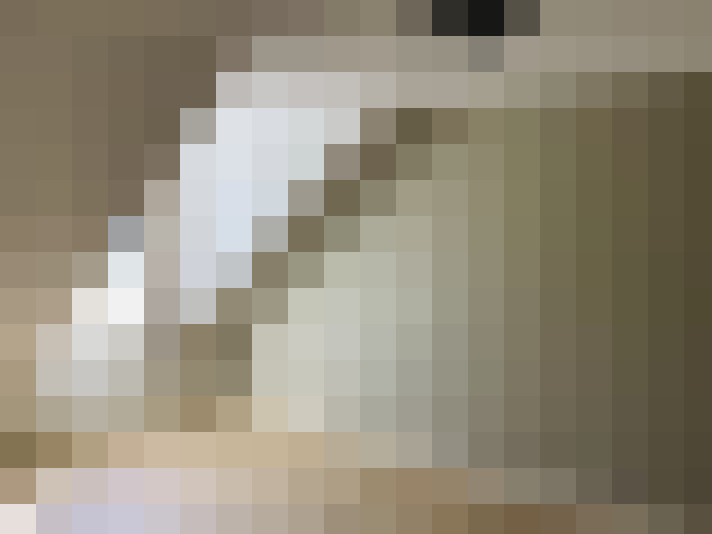 Image 47