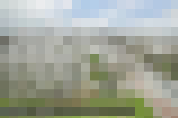 Image 25