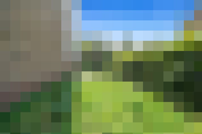 Image 38