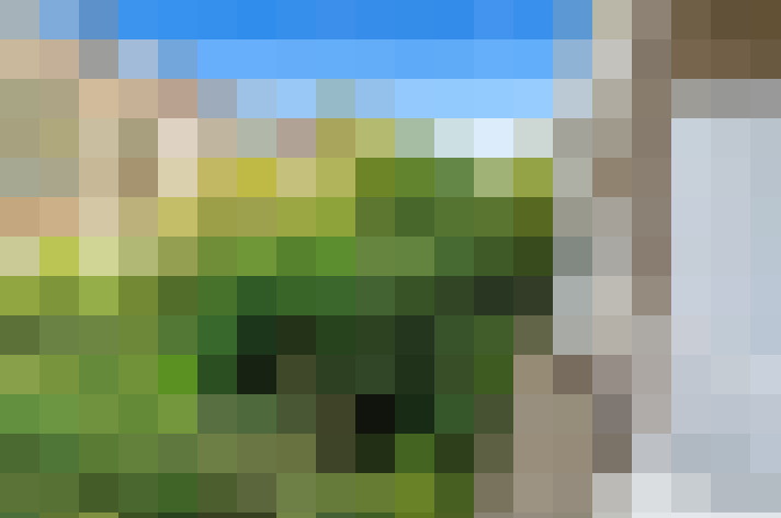 Image 22