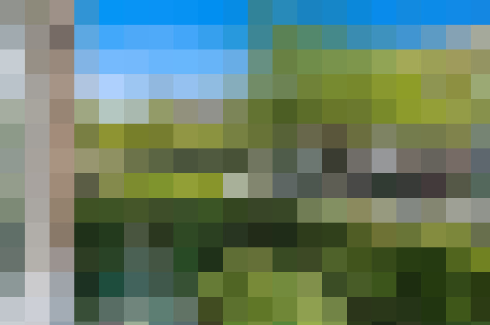Image 13