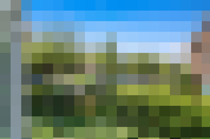 Image 17