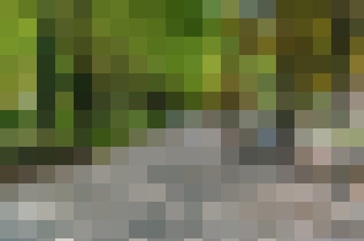 Image 44