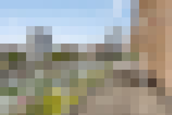 Image 16