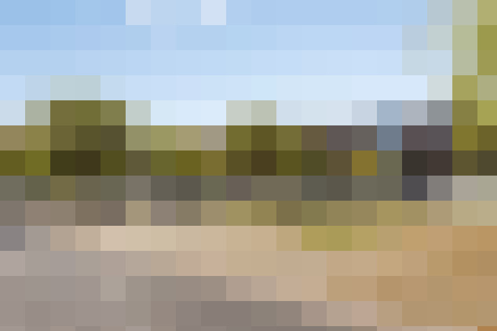 Image 21