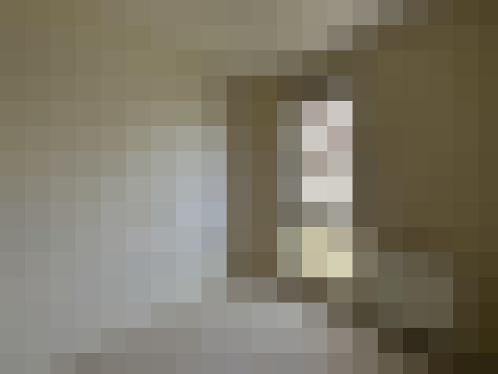 Image 13