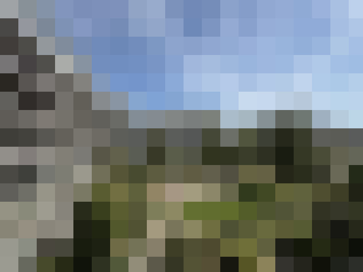 Image 16
