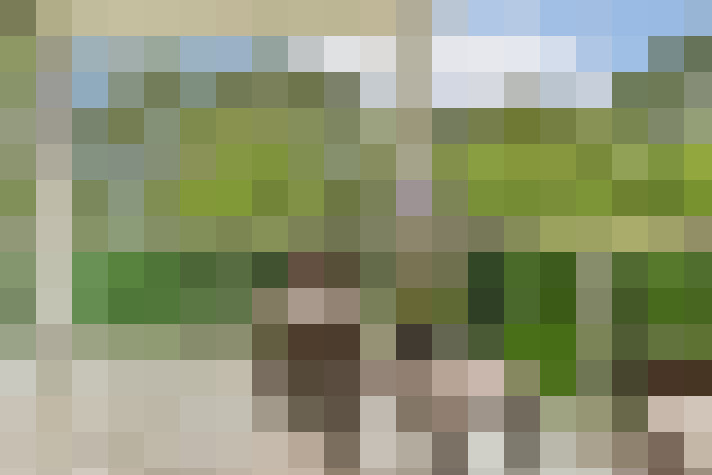 Image 25