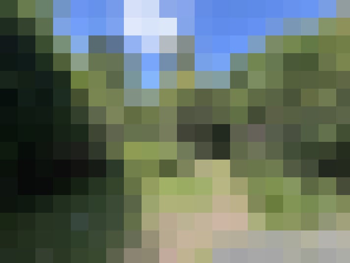 Image 14