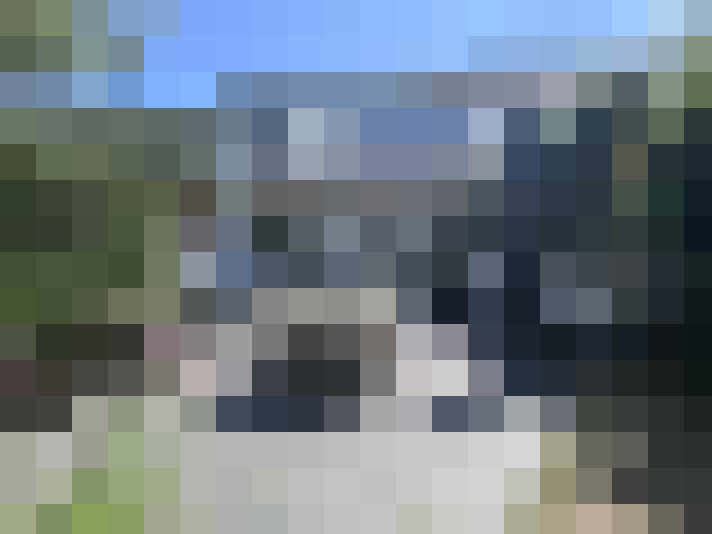Image 15