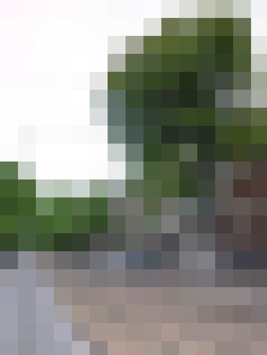 Image 42