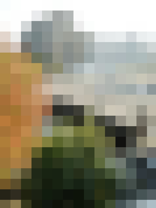 Image 39