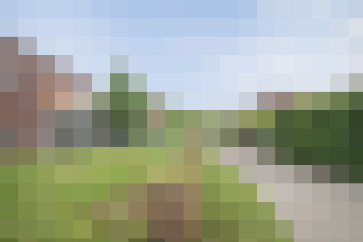 Image 25