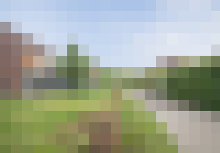 Image 26
