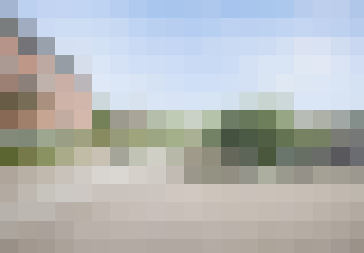 Image 36