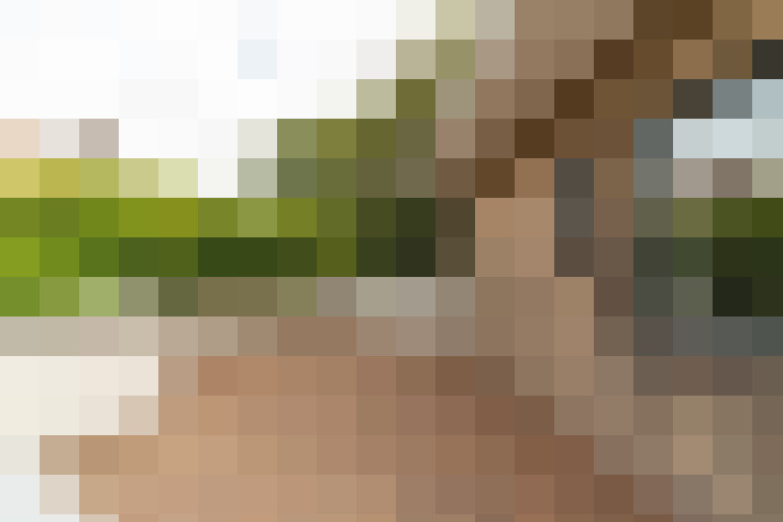 Image 37