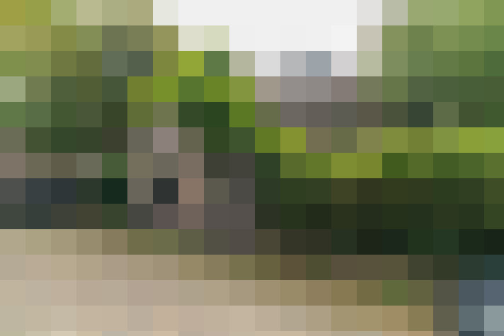 Image 47