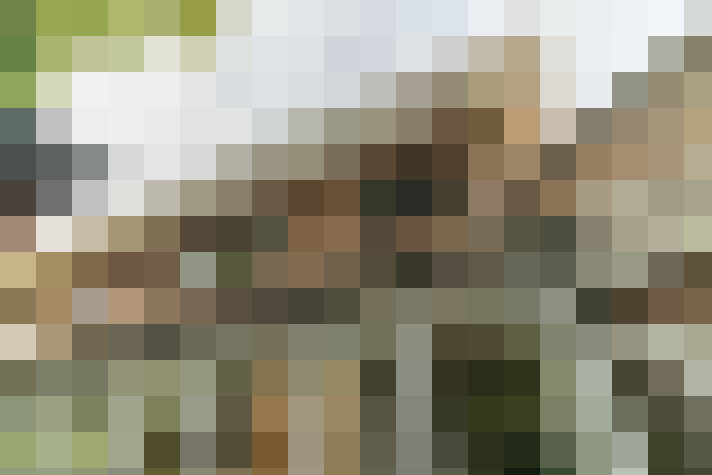 Image 23