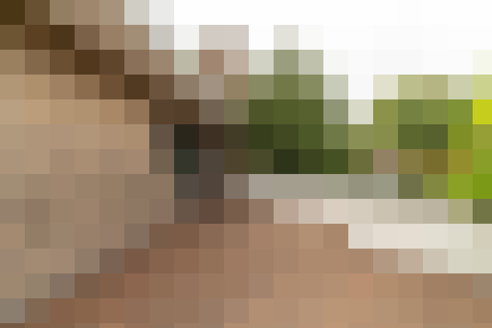 Image 38