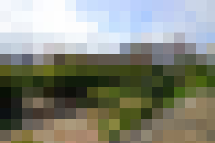 Image 22