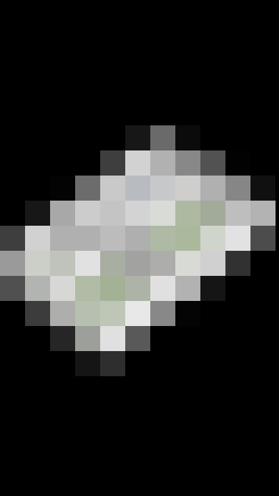 Image 40