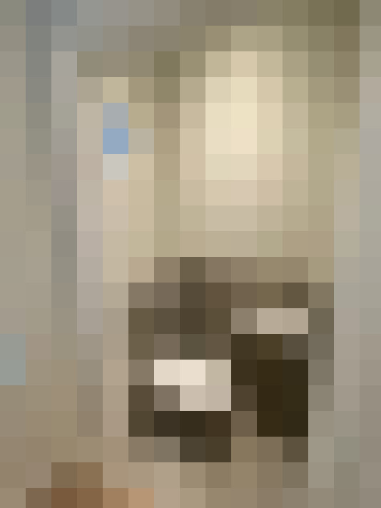 Image 14