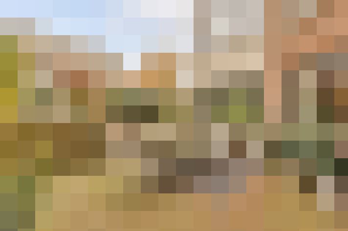 Image 38