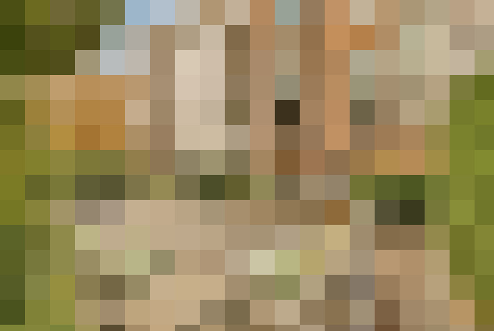 Image 37