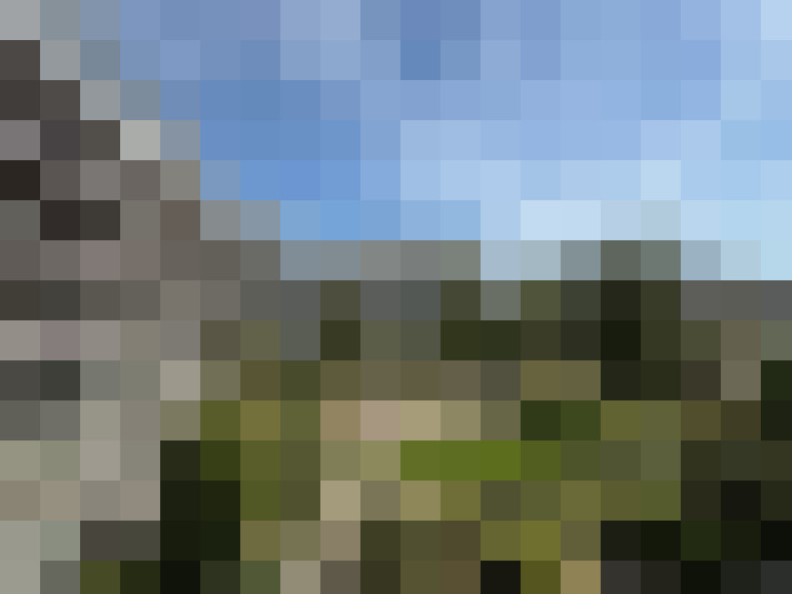 Image 16
