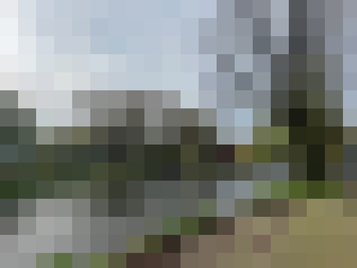 Image 16