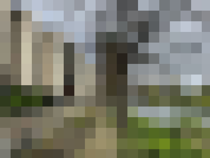 Image 14